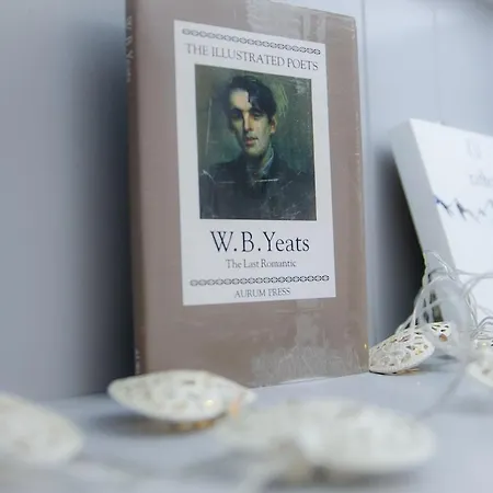 Alder House Appartamento Cill Airne