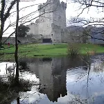 Alder House